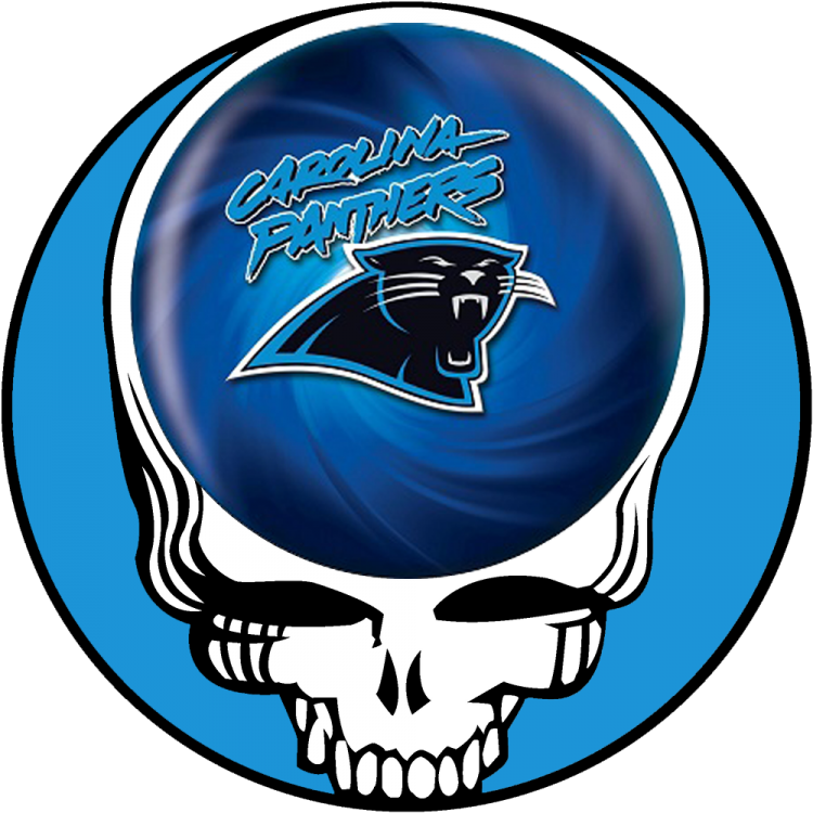 Carolina Panthers skull logo iron on transfers
